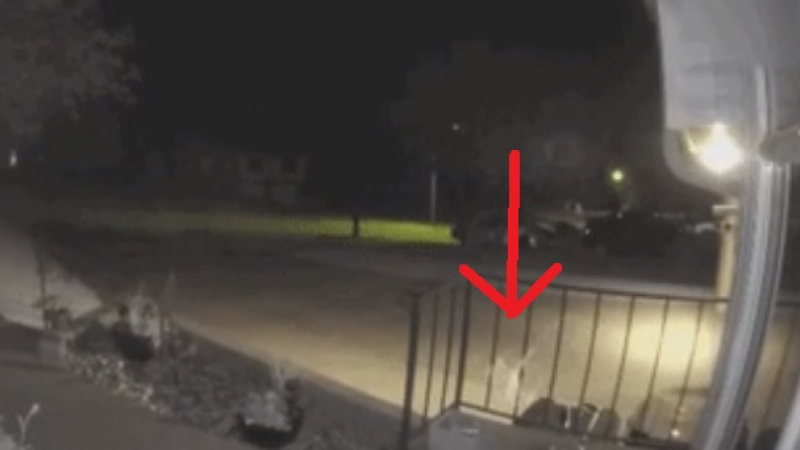 Камера засне как светещ силует на призрак лети и преминава през ограда ВИДЕО 