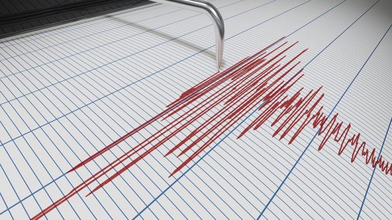Силни земетресения разтърсиха Япония и Нова Зеландия тази нощ