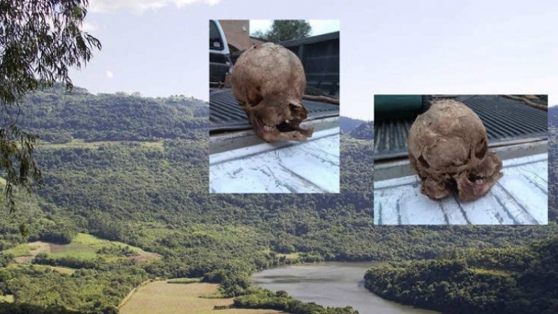 Откриха много странен череп на ужасяващо същество в Тексас