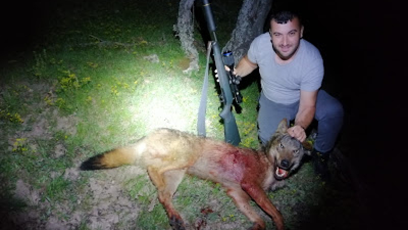 Гюлюстан от Боровица уби два кръвожадни звяра СНИМКИ