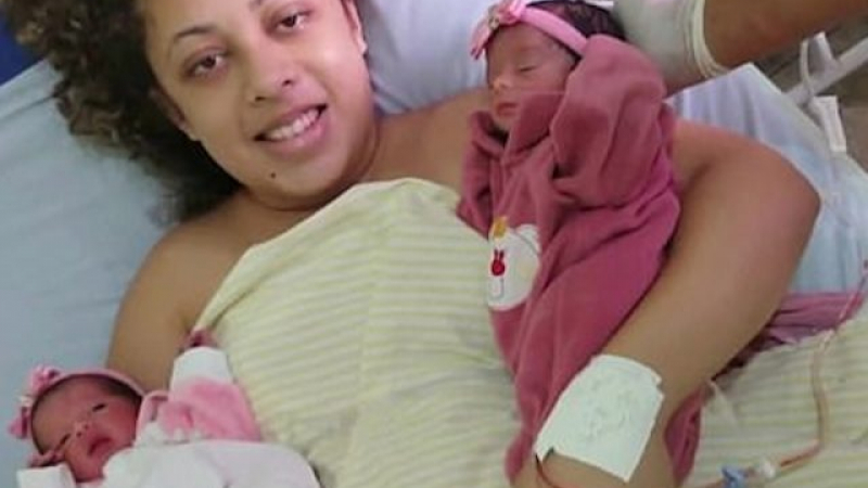 Ужас! Ревнив лабрадор уби новородени близначета, докато майка им бъбри със съседката СНИМКИ 