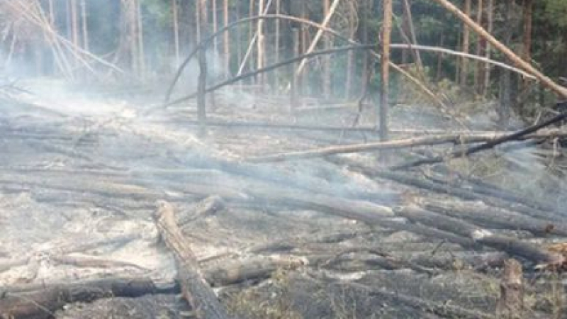 Пожар вилня в Родопите СНИМКИ 
