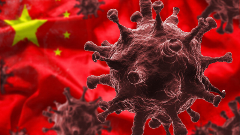 СЗО разкри има ли риск да пламне нова пандемия заради бубонната чума в Китай