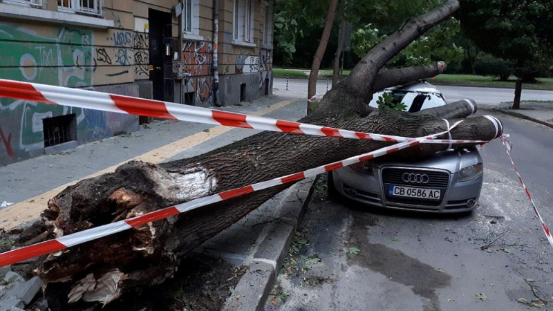 Вятърът в София съсипа тузарско возило СНИМКИ