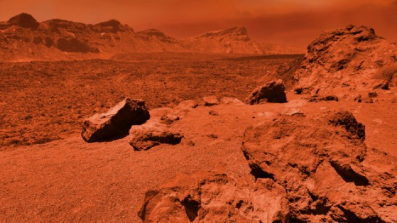 Така ли изглеждат марсианците? На СНИМКА от червената планета откриха странно същество