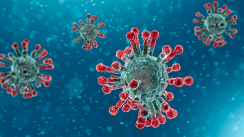 Изследване: Раздразнение измести страха от коронавируса 