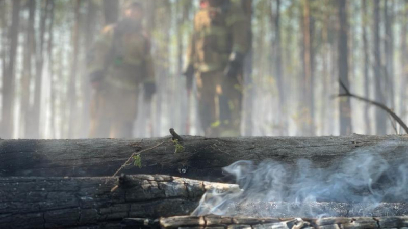 Руски градове се задушават от пожарите, бушуващи в Сибир