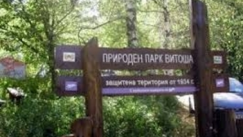 ДНСК започна проверки на имоти във вилна зона "Витоша"