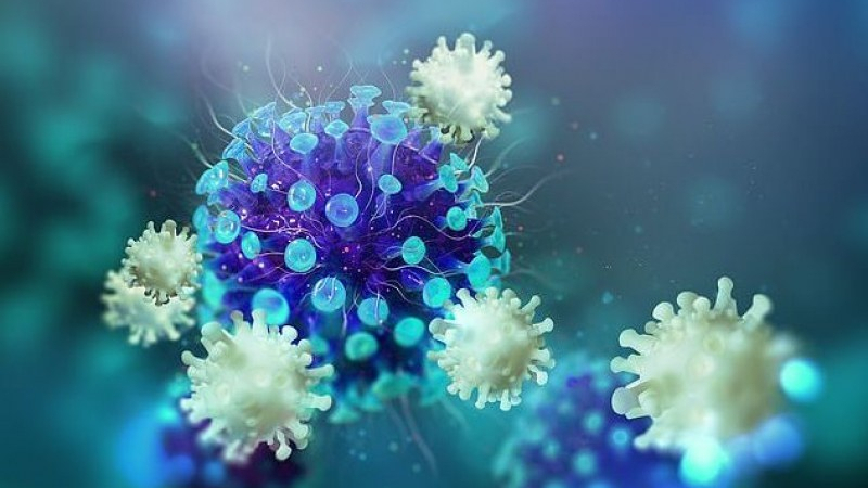 Учени с изненадваща новина за стадния имунитет и COVID-19