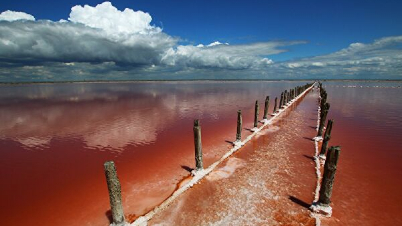 Къде се намират розовите лековити езера