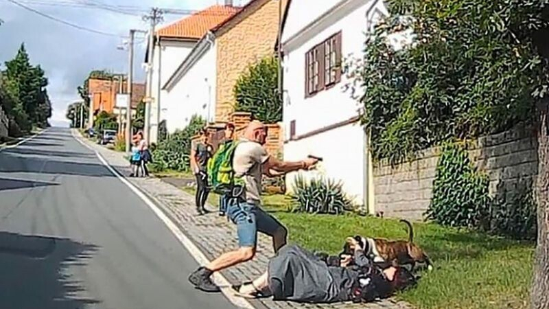 Полицай с отлична реакция защити майка си от агресивно куче ВИДЕО