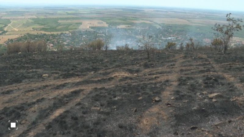 След пожара в Дълбоки: 35 дка гора е унищожена