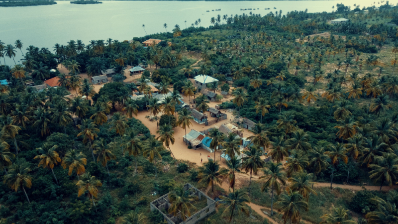 Банановият остров, на който милиардерите се избиват да се заселват ВИДЕО