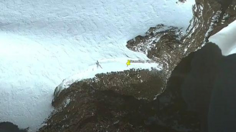 Сателит на Google съзря пришълец в Антарктида 