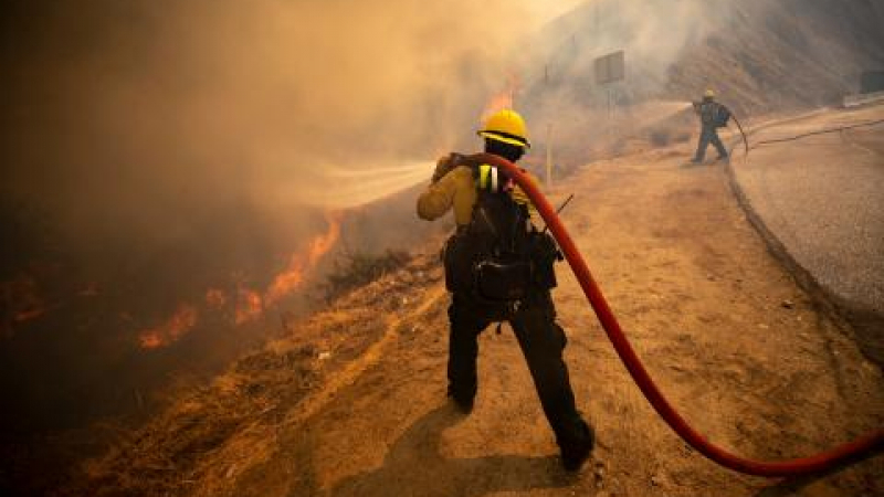 Ад в Калифорния: Пожари застрашават българите