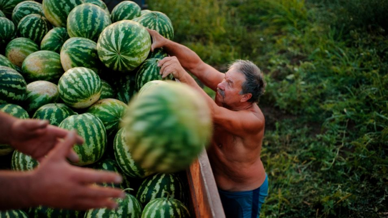 Малкото туристи по морето удариха неочаквано този бизнес СНИМКИ 