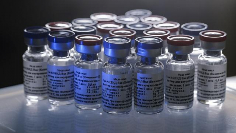 Повече от 20 страни с интерес към руската Covid-ваксина