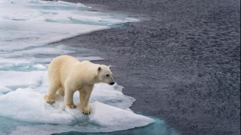 Арктика ще се разтопи до 40 години