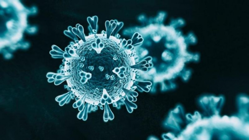 Това откритие може да ни предпази от коронавируса 