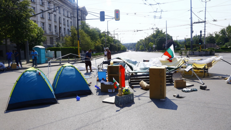 Фандъкова: Протестиращите на блокадите искат провокация и насилие! Не ги махаме, защото...