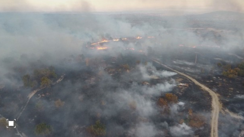 Военни се включват в гасенето на огнения ад в Хасковско