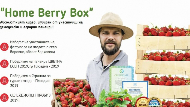 Нагла измама: Нов сорт семена за ягоди обещава печалба от хиляди месечно