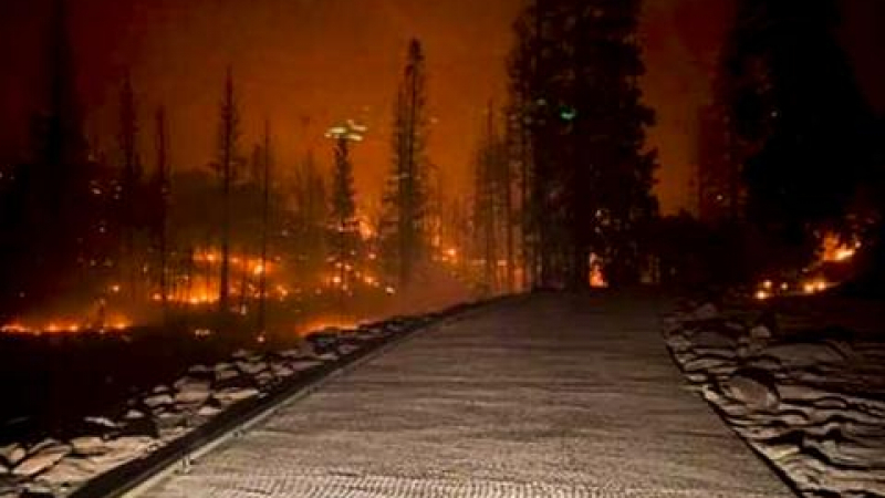 Огнен ад: Обявиха извънредно положение в Калифорния