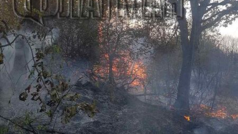 Плашещо ВИДЕО разкрива, че адът в Южна България се завръща