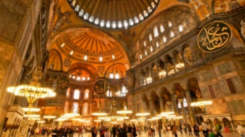 Най-популярният обитател на "Света София" в Истанбул се разболя