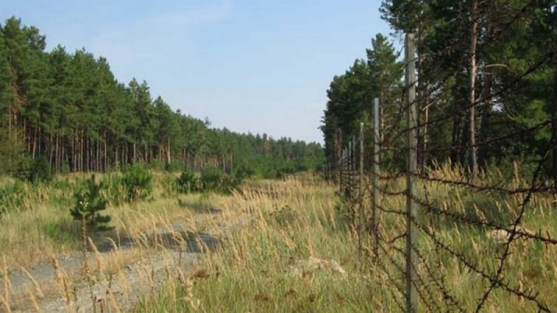 За първи път от 100 години: В Чернобилската зона се случи нещо удивително 