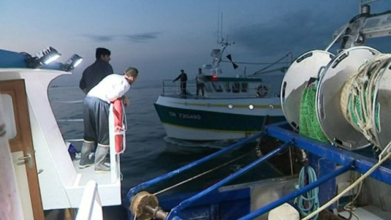 Оживление в Царево и Ахтопол: Рибарите не могат се нарадват 