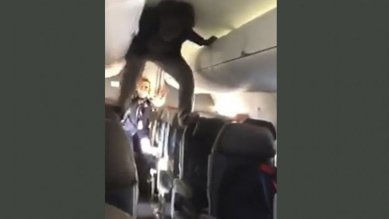 Разгонена жена в самолет нападна пасажери с искане за секс ВИДЕО