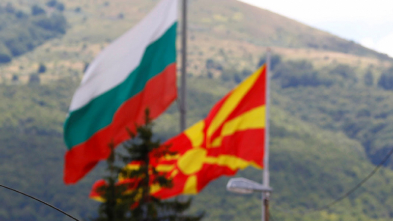 Проф. Пламен Павлов: Няма македонско малцинство в България, това е неприятелско отношение 