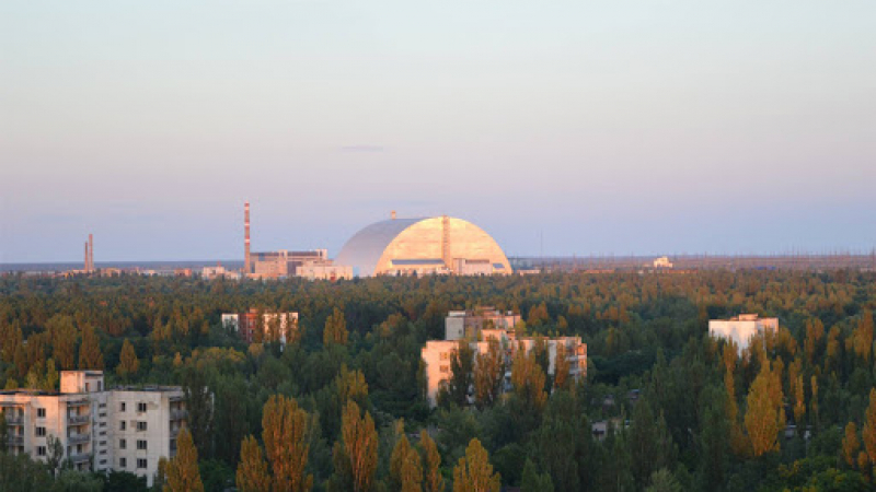 В радиационната зона на Чернобил заснеха невиждана по размери хвърката твар СНИМКИ