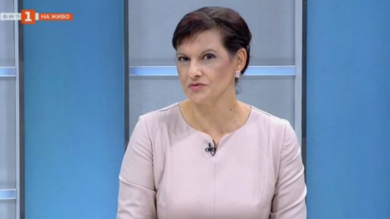 Дариткова: Опозицията неистово иска да вземе властта!