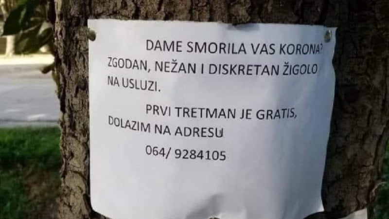 Сръбски жиголо с обяви по дърветата: "Дами, уморени ли сте от короната?"