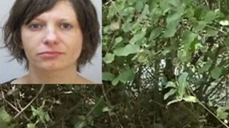 Прокуратурата с извънредни новини за нарязаната и заровена край Радомир жена