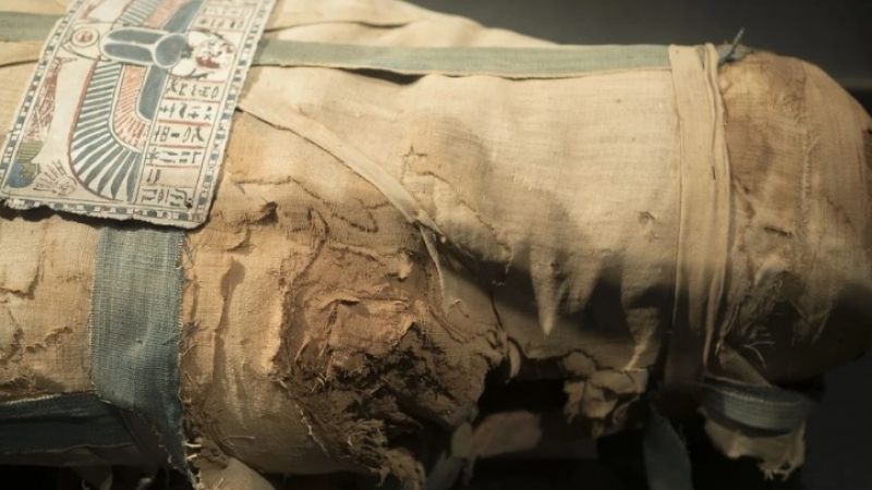 Откриха мумия на 4500 години, която може да промени древната египетска история