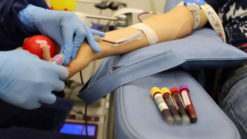 Спешно се търси кръвна плазма за поваления от К-19 шеф на болницата в Провадия