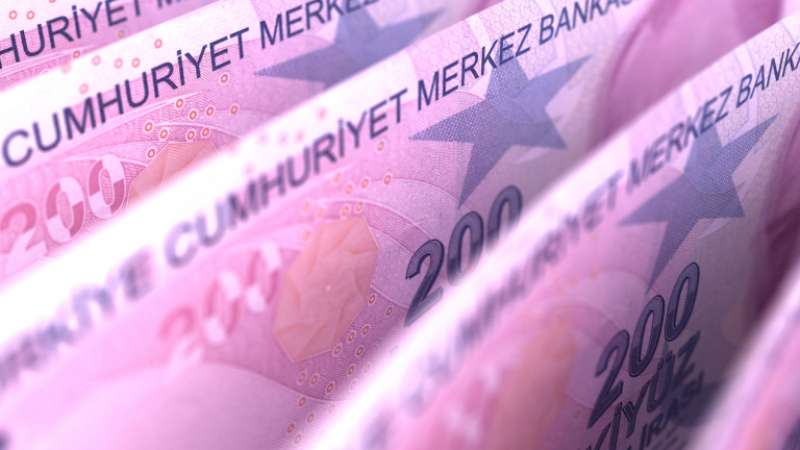 Защо се срива турската лира?