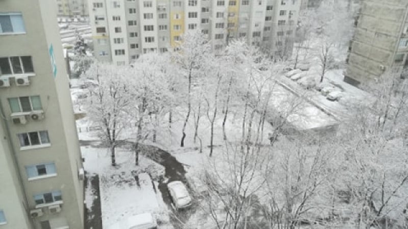 Безпрецедентни глоби в София за непочистен сняг
