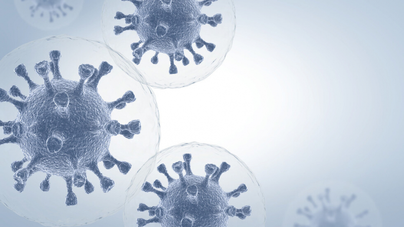 Проучване в Япония преобръща представата за имунитета и COVID-19