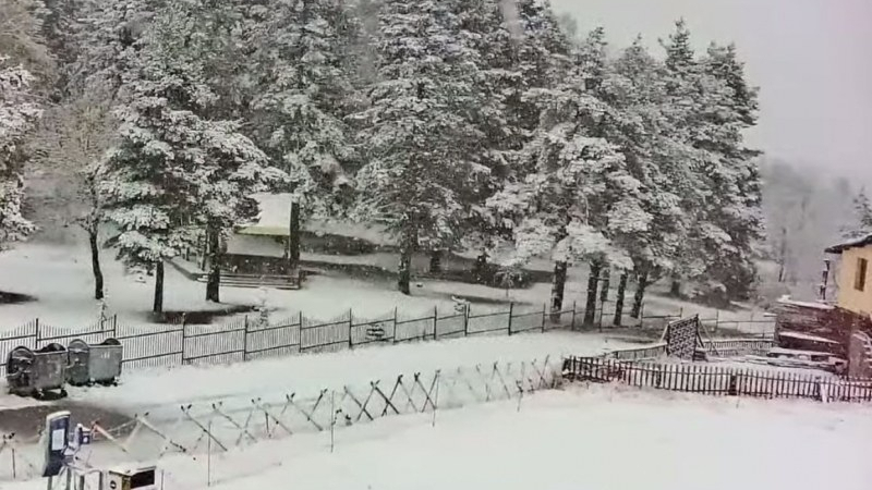 СНИМКИ разкриват снежна приказка в Родопите