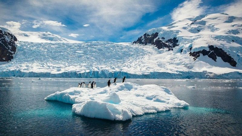 В Антарктида бе открита скала, която спасява света от наводнения