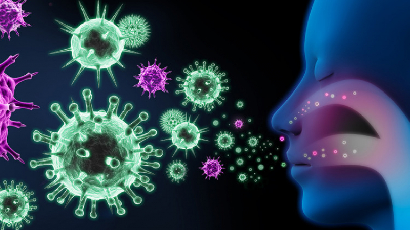 Как да разберем дали имунитетът ни е понижен, или свръхактивен