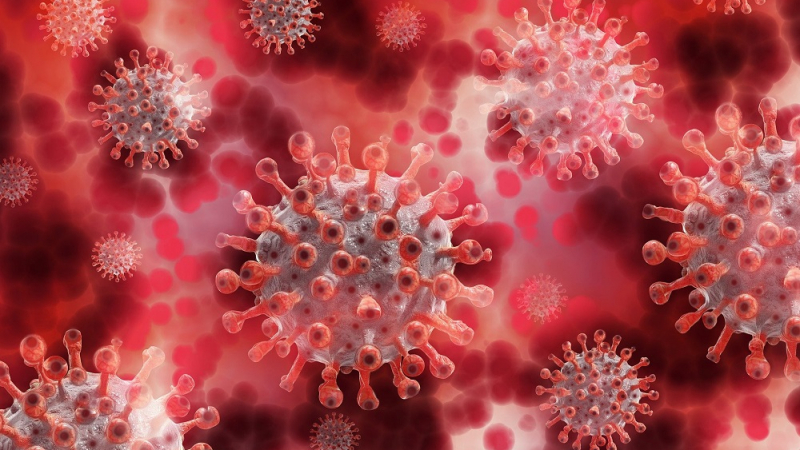 СЗО разкри причината за появата на новия щам на коронавирус