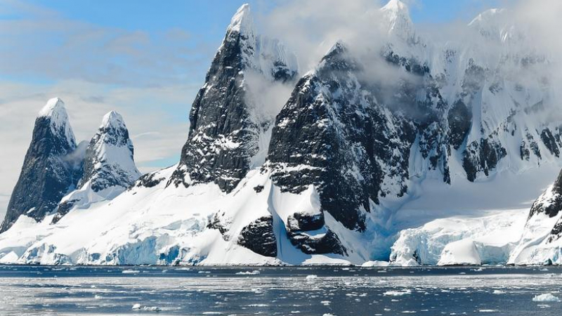 Сензация! В Антарктида откриха скелети на джуджета на 600 млн. години СНИМКИ