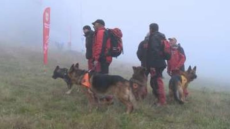 Първи подробности за драмата в Рила в новогодишната нощ 