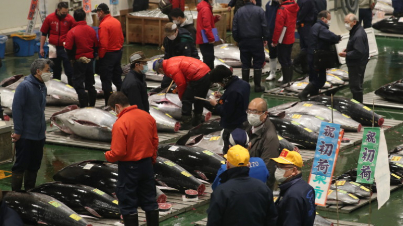 К-19 удари и пазара на риба тон