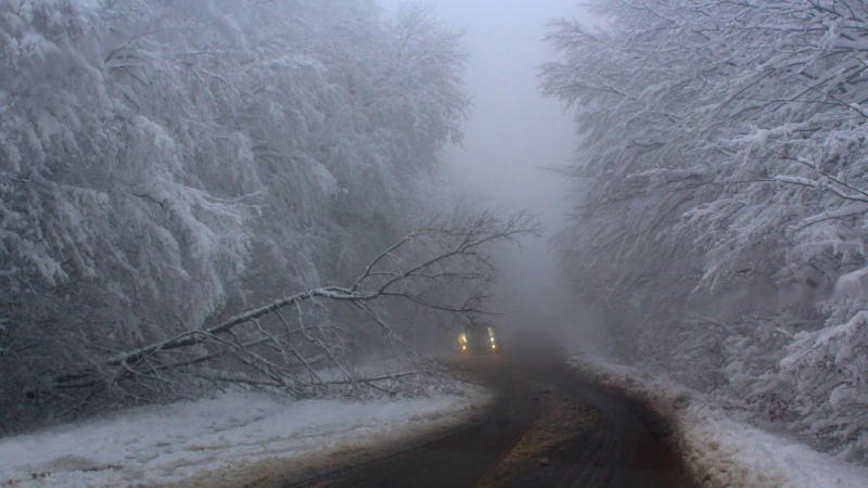 Снегокалипсис в Шуменско! Снегът троши наред, пътищата са блокирани СНИМКИ 